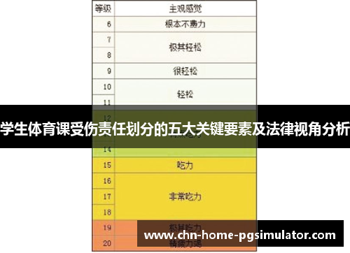 学生体育课受伤责任划分的五大关键要素及法律视角分析