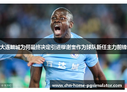 大连鲲城为何最终决定引进穆谢奎作为球队新任主力前锋