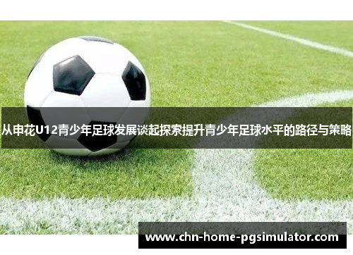 从申花U12青少年足球发展谈起探索提升青少年足球水平的路径与策略