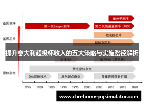 提升意大利超级杯收入的五大策略与实施路径解析
