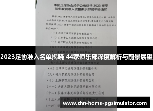 2023足协准入名单揭晓 44家俱乐部深度解析与前景展望