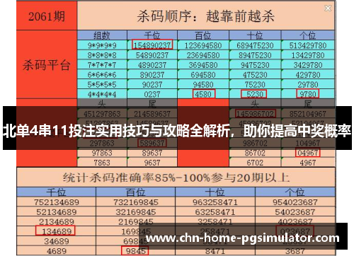 北单4串11投注实用技巧与攻略全解析，助你提高中奖概率