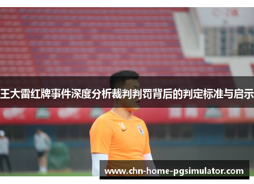 王大雷红牌事件深度分析裁判判罚背后的判定标准与启示