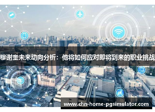 穆谢奎未来动向分析：他将如何应对即将到来的职业挑战