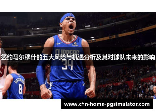 签约马尔穆什的五大风险与机遇分析及其对球队未来的影响