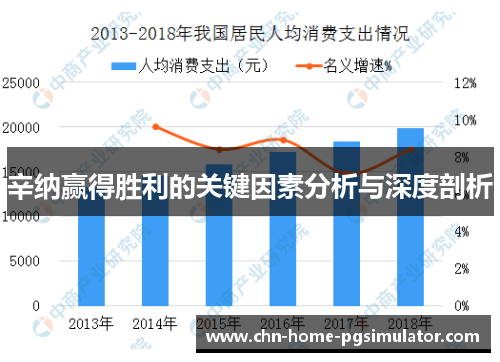 辛纳赢得胜利的关键因素分析与深度剖析