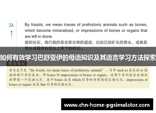 如何有效学习巴舒亚伊的母语知识及其语言学习方法探索