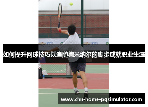如何提升网球技巧以追随德米纳尔的脚步成就职业生涯