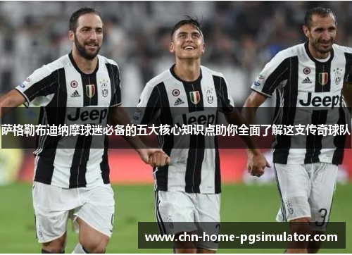 萨格勒布迪纳摩球迷必备的五大核心知识点助你全面了解这支传奇球队