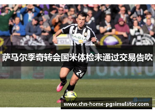 萨马尔季奇转会国米体检未通过交易告吹